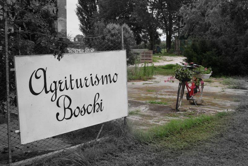 Reggiolo Agriturismo Boschiヴィラ エクステリア 写真